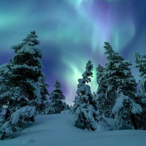 Manasha - Over Slowed