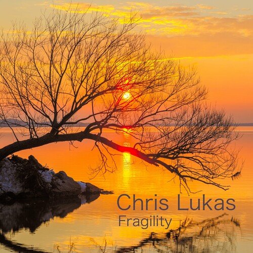 Fragility