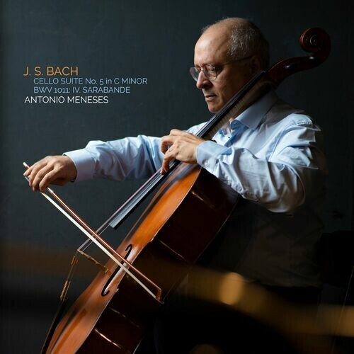 Cello Suite No. 5 in C Minor, BWV 1011: IV. Sarabande