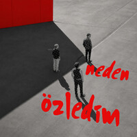 Neden Özledim