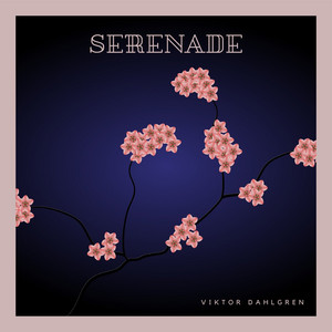 Serenade