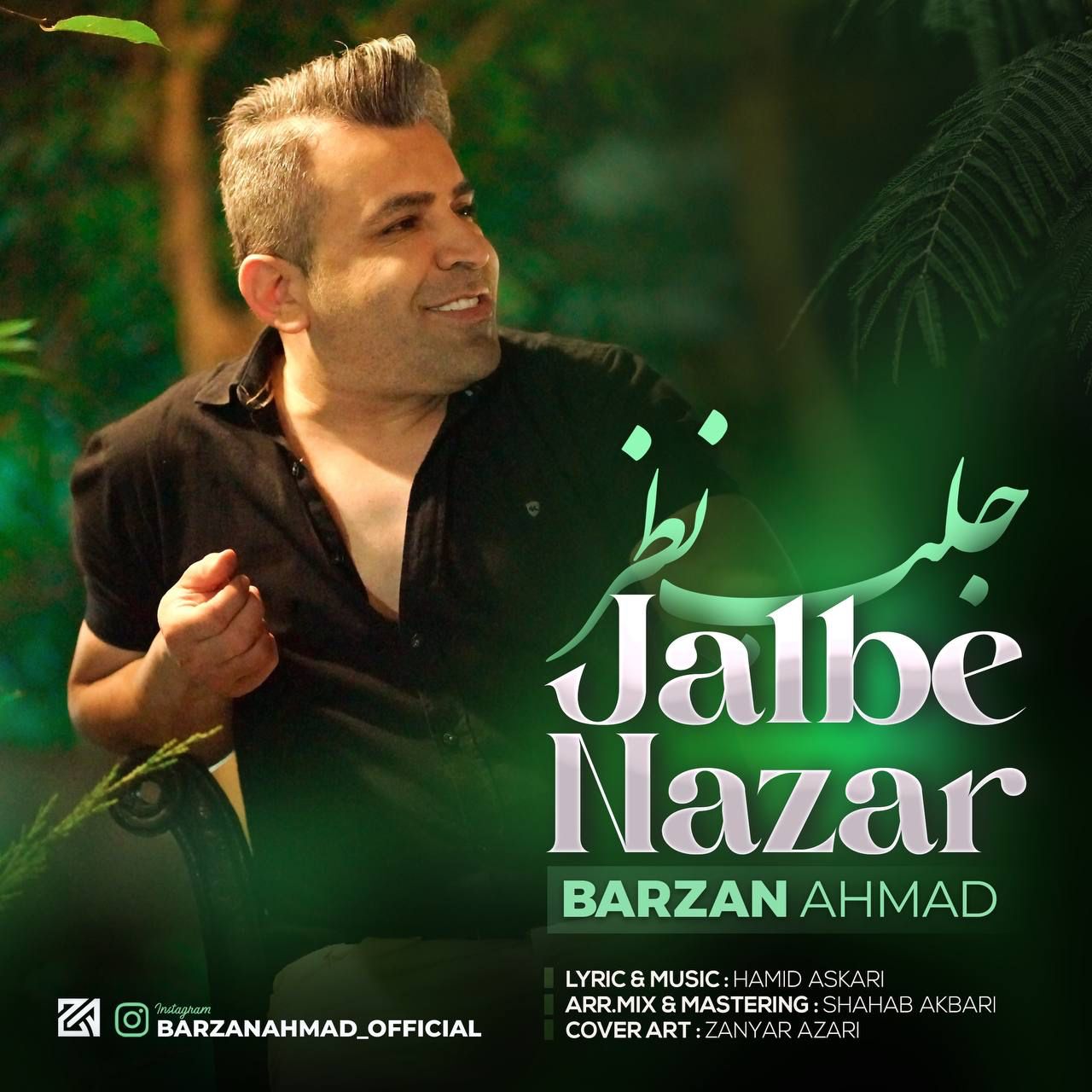 جلب نظر