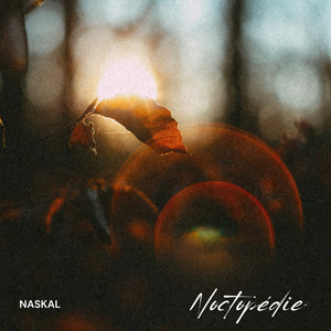 Noctopédie