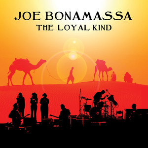 The Loyal Kind (Live)