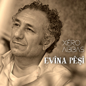 Dil Şikestî
