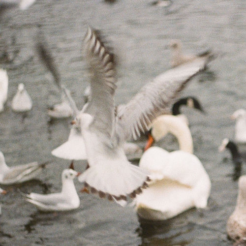 On Possession
