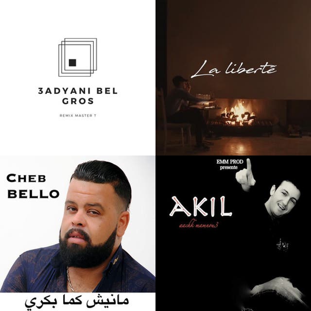 Best Raï & Raï'n'B & Algerian Mix '26 DZ 🇩🇿🔥