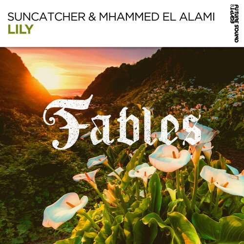 Lily (Original Mix)