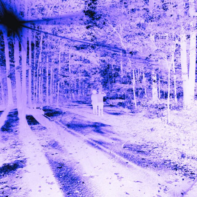 King of Fall - Slowed & Reverbed