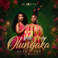Olungaka