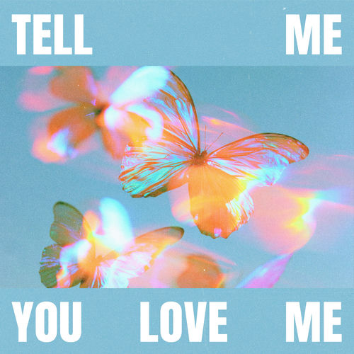 Tell Me You Love Me
