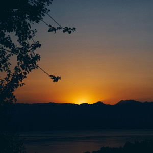 Summer Dream