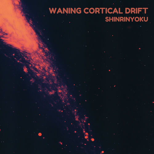 Waning Cortical Drift