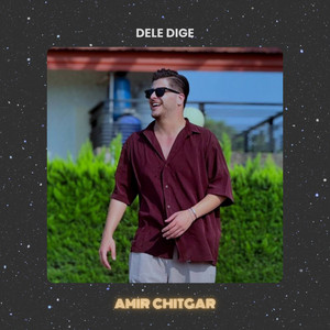 Dele Dige