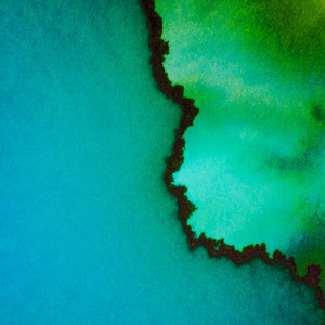 Echoform