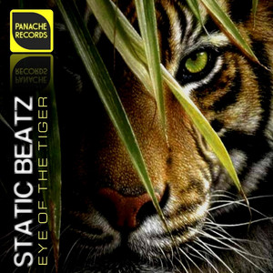 Eye of the Tiger - EDM Radio Edit
