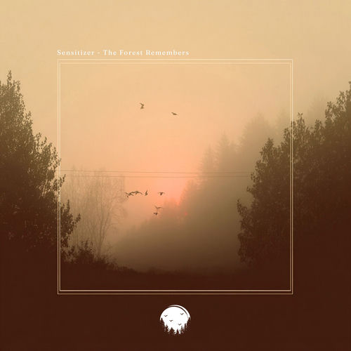 The Forest Remembers