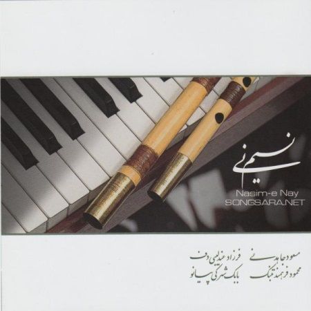 دل دیوانه