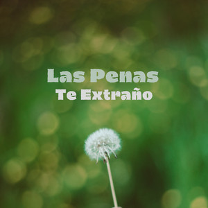 Te Extraño