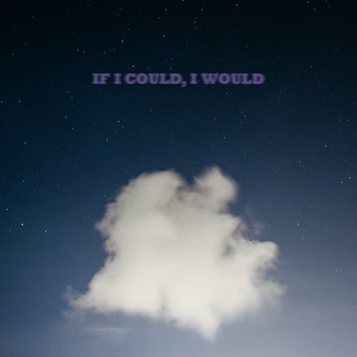 If I Could, I Would