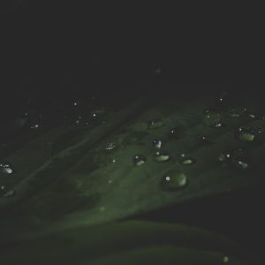 Dhyana
