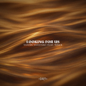 Looking For Us