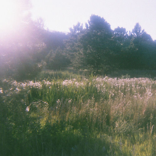pocket garden