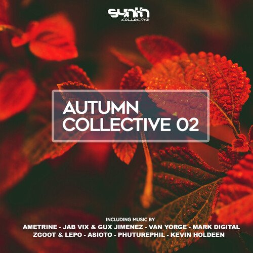 Beach Bum (Original Mix)