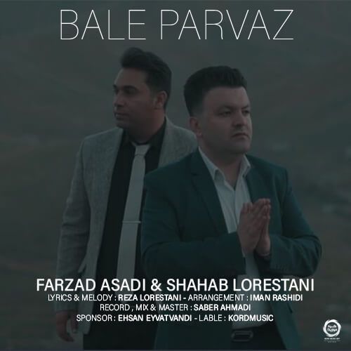 بال پرواز