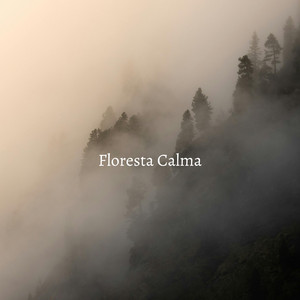 Floresta Calma