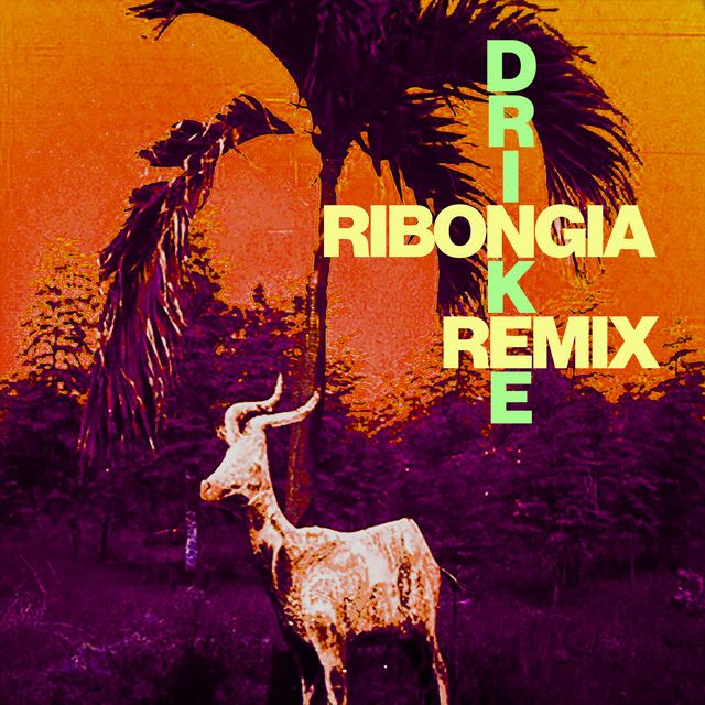 Drinkee - Ribongia Remix