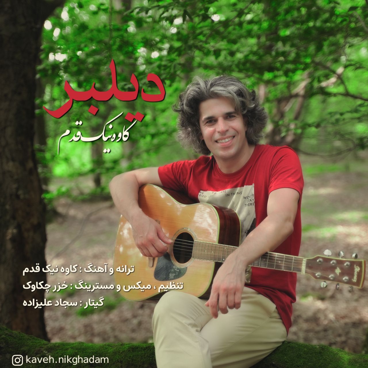 دیلبر