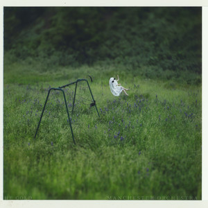 The Gold - Phoebe Bridgers Version