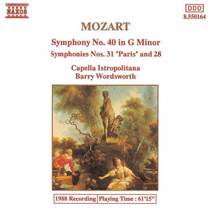 Symphony No. 28 in C Major, K. 200: II. Andante
