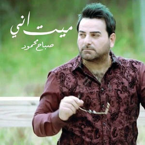 ميت اني