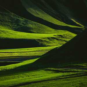 Morning Light
