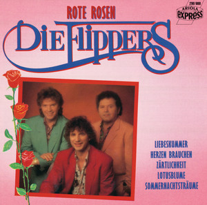Aber Dich gibt's nur einmal für mich
