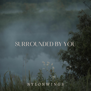 Surrounded By You