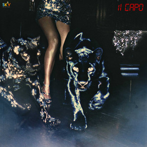 Il Capo