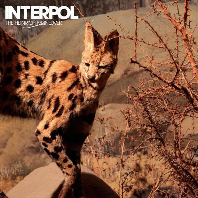 The Heinrich Maneuver - Radio Edit