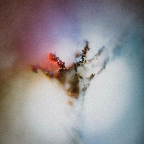 Synesthesia