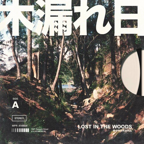 Lost In The Woods