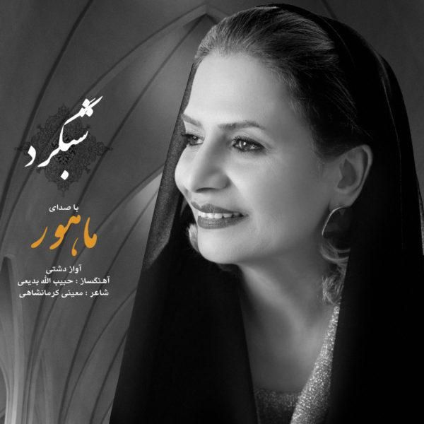 شبگرد