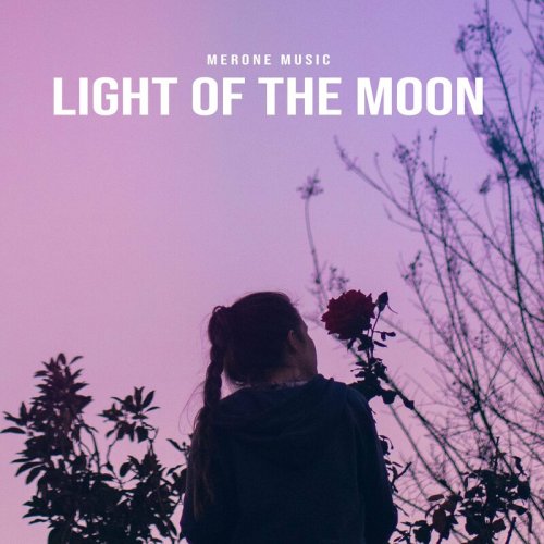 Light of the Moon