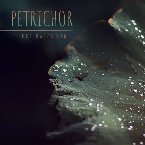 Petrichor