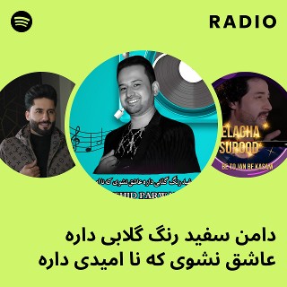دامن سفید رنگ گلابی داره عاشق نشوی که نا امیدی داره Radio