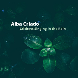 Crickets and Birds in the Rain