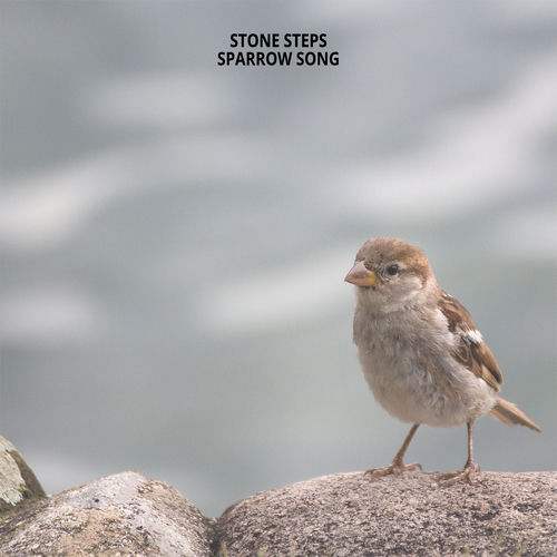 Sparrow Song