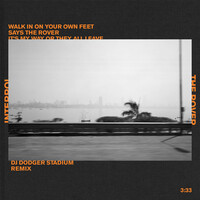 The Rover - DJDS Remix