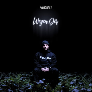 Wegen Dir